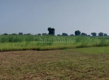 property_images/agricultural_in_nagaur_1788417970_6a9917b2ac7ef.png