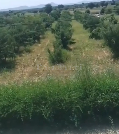 property_images/agricultural_in_nagaur_1788418288_6a9918f08ef5f.png