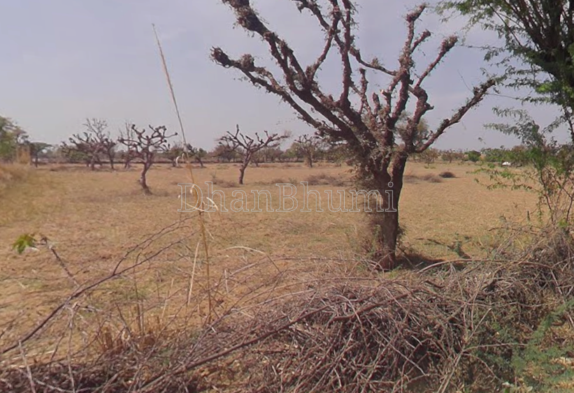 featured_img