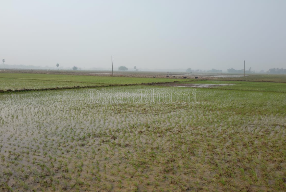 property_images/agricultural_in_nagaur_1789641176_6aabc1d8b23b5.png
