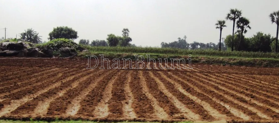 property_images/agricultural_in_nagpur_1786170578_6a76ccd267140.png