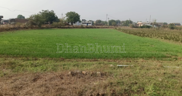property_images/agricultural_in_nagpur_1786171495_6a76d0678f0fe.png