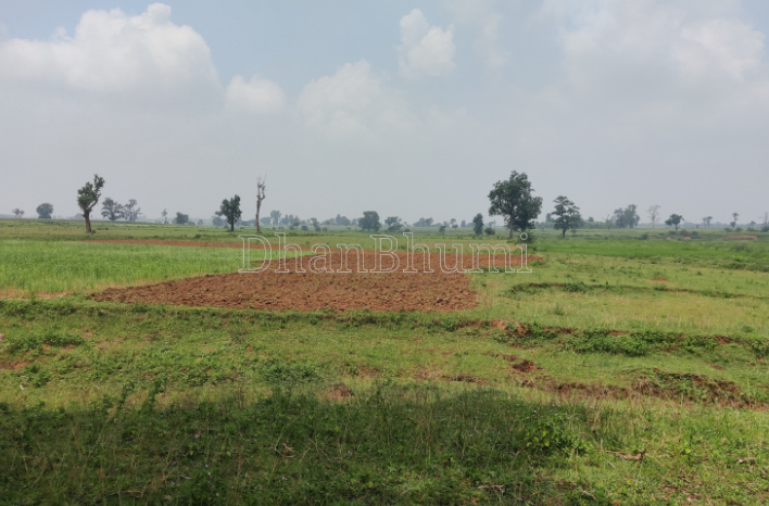 property_images/agricultural_in_nagpur_1786171778_6a76d182c92b5.png