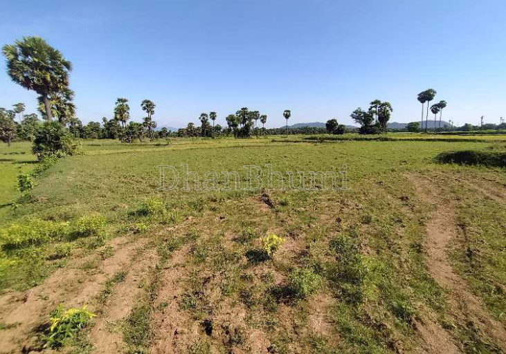 property_images/agricultural_in_nagpur_1786172134_6a76d2e65b602.png