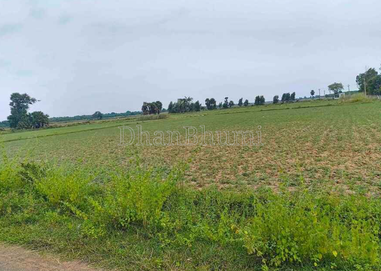property_images/agricultural_in_nagpur_1786172396_6a76d3ec8814d.png
