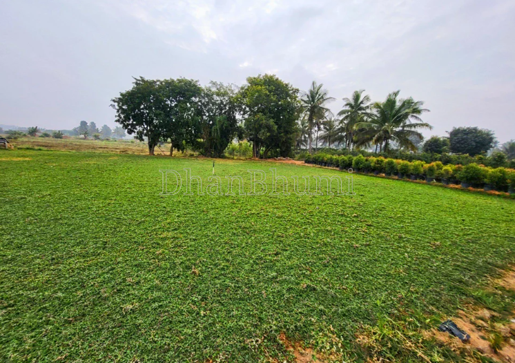 property_images/agricultural_in_nagpur_1786172533_6a76d4750ad26.png