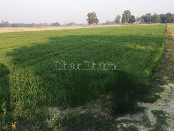 property_images/agricultural_in_nagpur_1787734590_6a8eaa3ee1d55.PNG