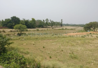 property_images/agricultural_in_nagpur_1788327264_6a97b560e33d4.png