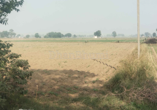 property_images/agricultural_in_nagpur_1788327421_6a97b5fdda531.png