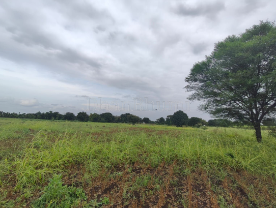 property_images/agricultural_in_nagpur_1788599621_6a9bdd45be9f6.PNG