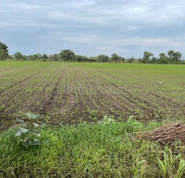 property_images/agricultural_in_nagpur_1788599946_6a9bde8a79e52.PNG