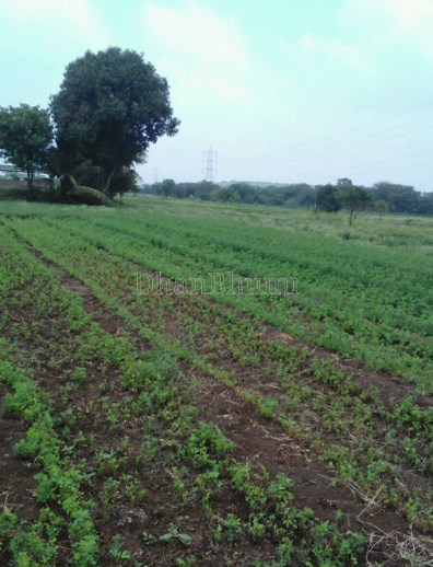 property_images/agricultural_in_nagpur_1788606677_6a9bf8d5e7b61.PNG