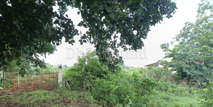 property_images/agricultural_in_nagpur_1788609608_6a9c04486e5e2.PNG