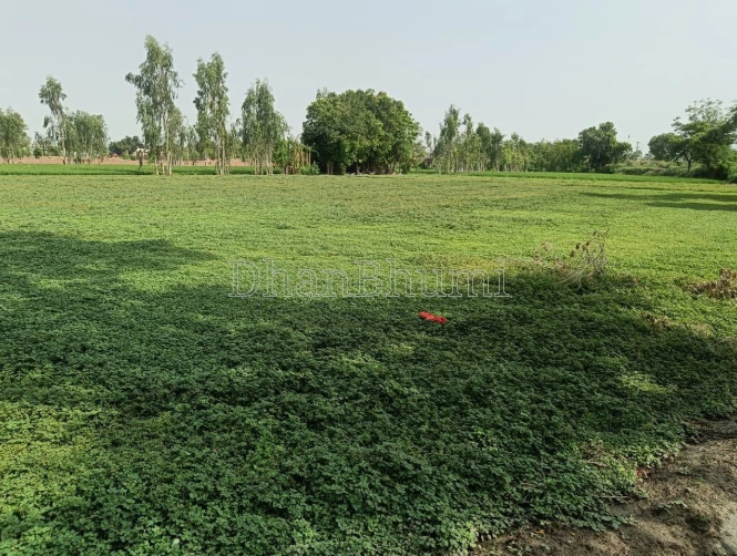 property_images/agricultural_in_nainital_1785233199_6a687f2f4f3d6.PNG