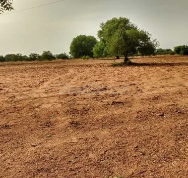featured_img