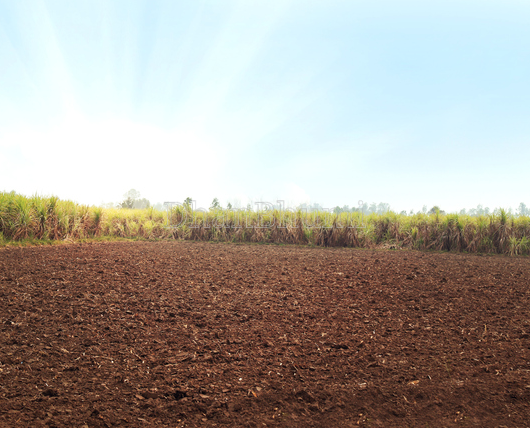 property_images/agricultural_in_nainital_1789031617_6aa274c1ee9bc.png