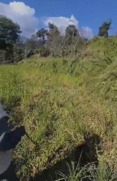 property_images/agricultural_in_nainital_1790164021_6ab3bc353b209.png