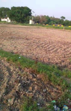 property_images/agricultural_in_nalanda_1792221258_6ad3204a5a073.PNG