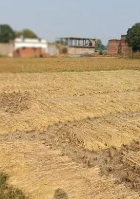 property_images/agricultural_in_nalanda_1792221569_6ad321815bb82.PNG