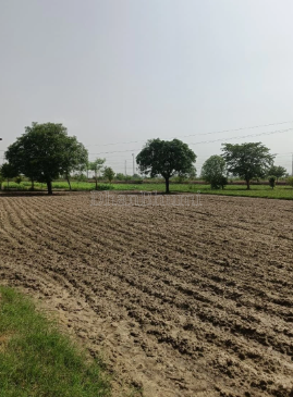 property_images/agricultural_in_nalanda_1792221899_6ad322cb123fc.PNG