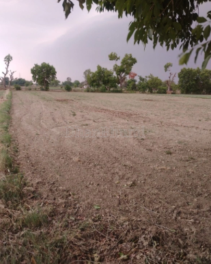property_images/agricultural_in_nalanda_1792222217_6ad324091dddd.PNG