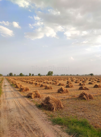 property_images/agricultural_in_nandurbar_1783773239_6a5238378ce21.PNG