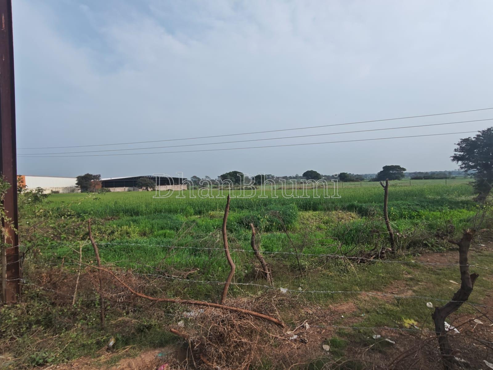 property_images/agricultural_in_narmadapuram_1786606025_6a7d71c9acb5f.jpeg