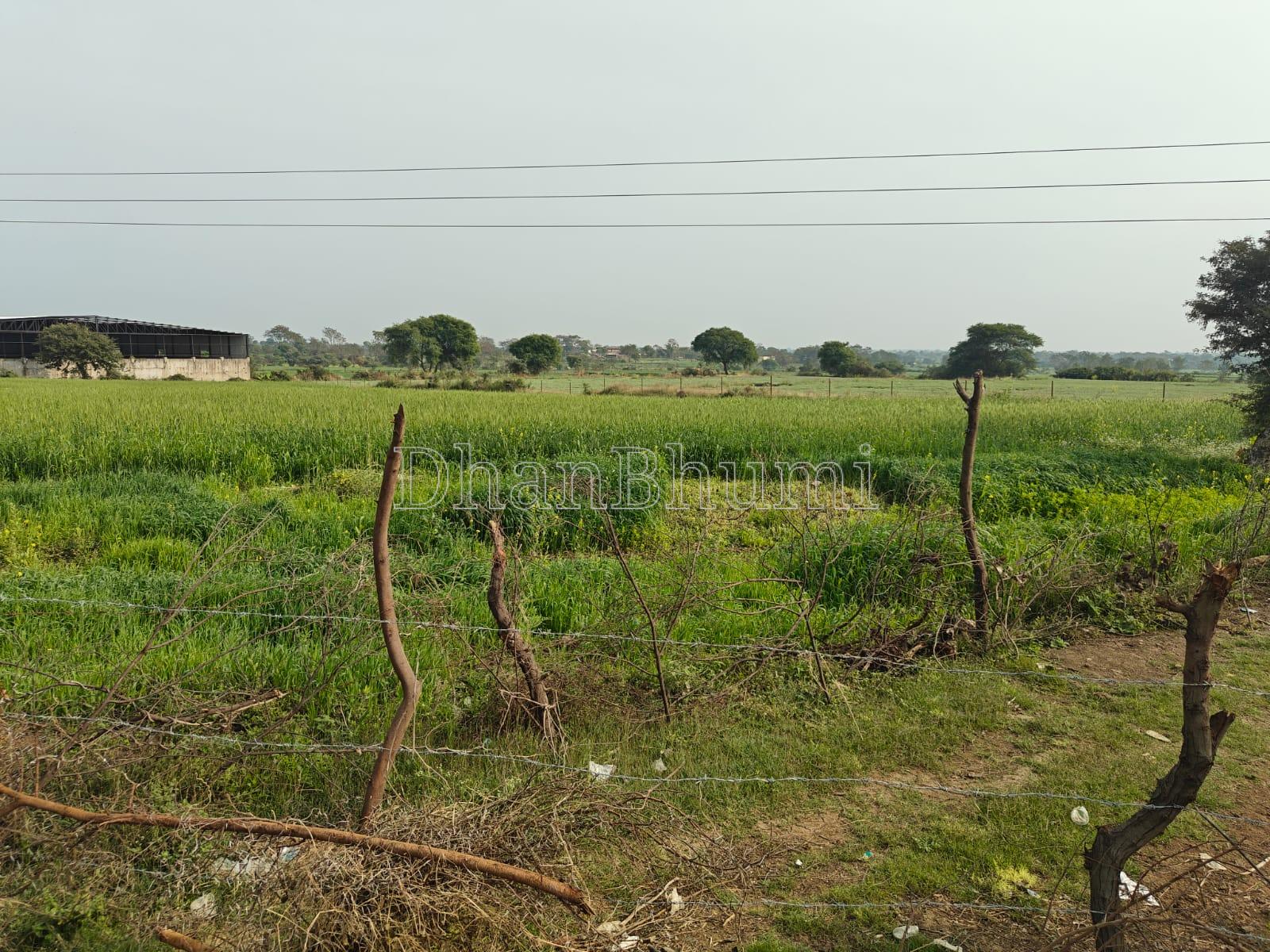 property_images/agricultural_in_narmadapuram_1786606025_6a7d71c9c96c6.jpeg