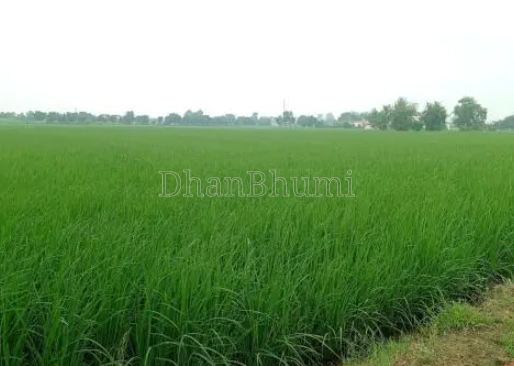 property_images/agricultural_in_narsinghpur_1786015723_6a746febd9873.png