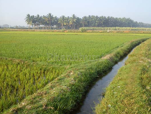 property_images/agricultural_in_nashik_1785828450_6a7194620e6b0.PNG