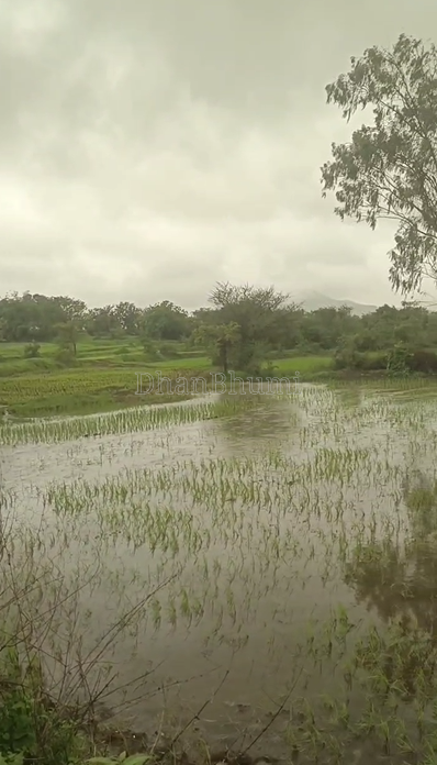 property_images/agricultural_in_nashik_1786968859_6a82fb1babd8a.png