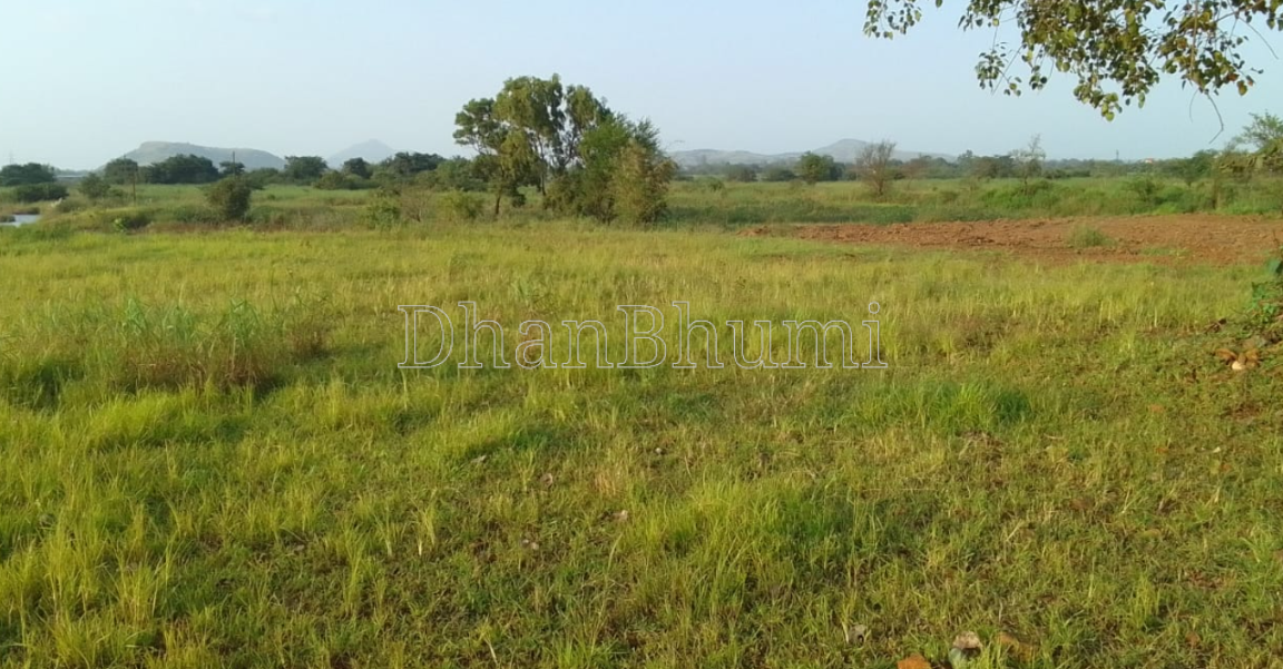 property_images/agricultural_in_nashik_1788594331_6a9bc89b885eb.png