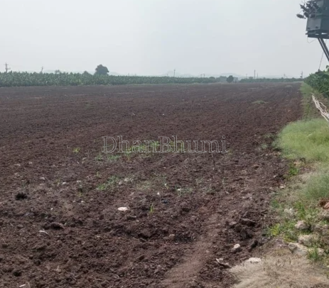 property_images/agricultural_in_nashik_1792575173_6ad886c5b31d5.png