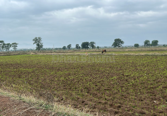 property_images/agricultural_in_nashik_1792575968_6ad889e0dbdf2.png
