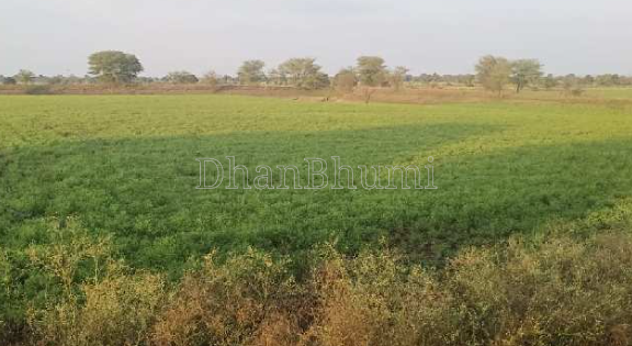 property_images/agricultural_in_nashik_1792577139_6ad88e738c53d.png