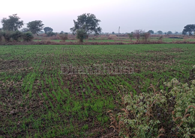 property_images/agricultural_in_nashik_1792577511_6ad88fe77ab05.png
