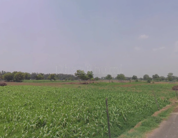 property_images/agricultural_in_nashik_1792577794_6ad89102b3cb8.png