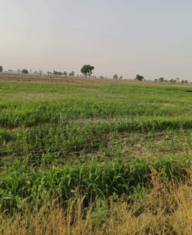 property_images/agricultural_in_nashik_1792578114_6ad89242ef948.png