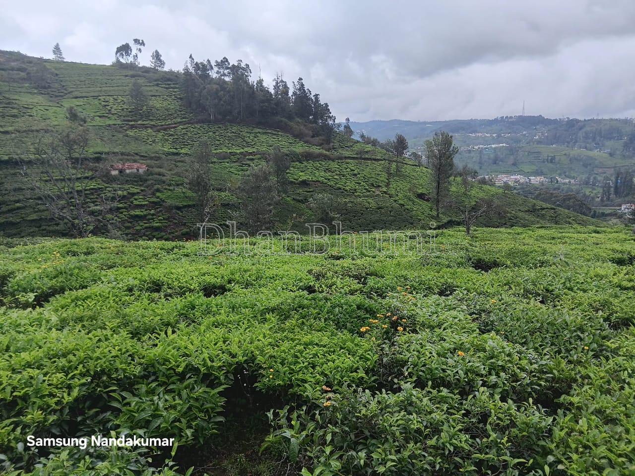 property_images/agricultural_in_nilgiris_1784014039_6a55e4d7a4ab6.jpeg