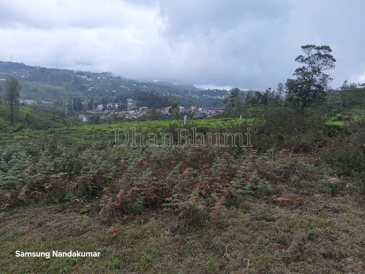property_images/agricultural_in_nilgiris_1784014039_6a55e4d7c4fd7.jpeg