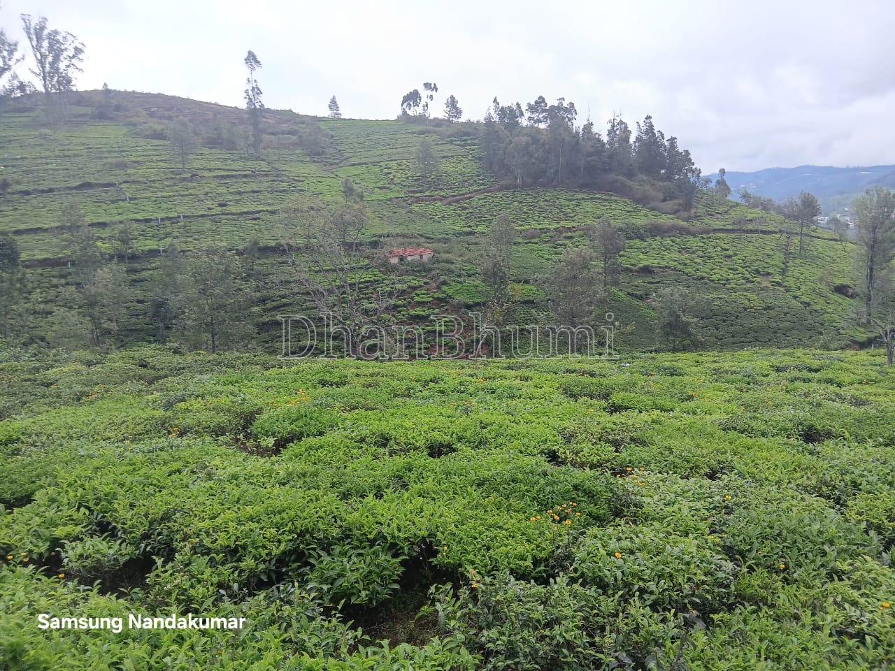 property_images/agricultural_in_nilgiris_1784014039_6a55e4d7d4f96.jpeg