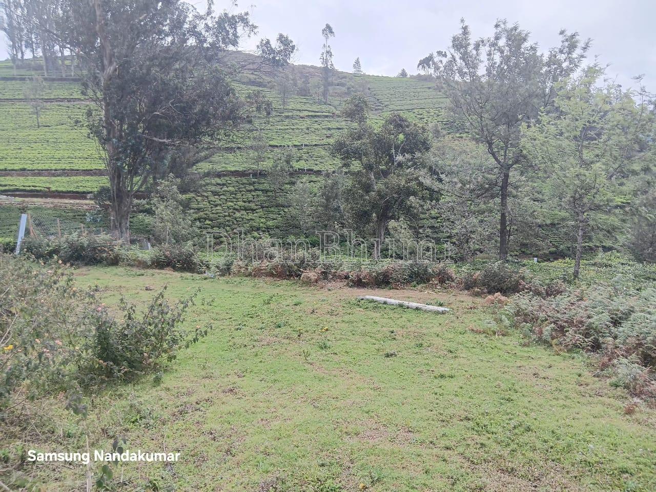 property_images/agricultural_in_nilgiris_1784014039_6a55e4d7f3524.jpeg