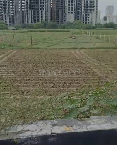 property_images/agricultural_in_noida_1784361133_6a5b30addde52.png