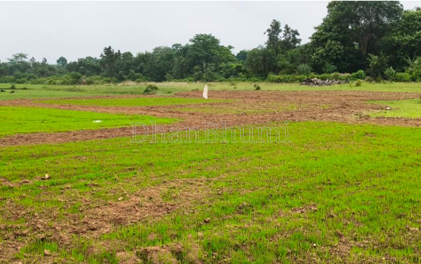 featured_img
