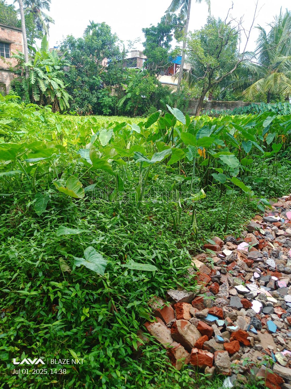 property_images/agricultural_in_north_24_parganas_1784713919_6a6092bf15017.jpeg