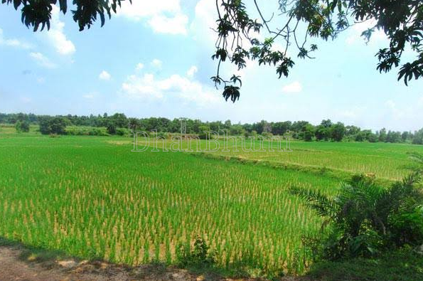 property_images/agricultural_in_north_24_parganas_1787304277_6a8819558871f.PNG