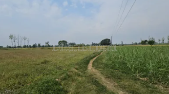 property_images/agricultural_in_nuh_1790147547_6ab37bdb78588.png