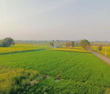 property_images/agricultural_in_nuh_1790149023_6ab3819fe40ff.png