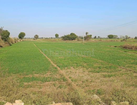 property_images/agricultural_in_nuh_1790149314_6ab382c244c38.png