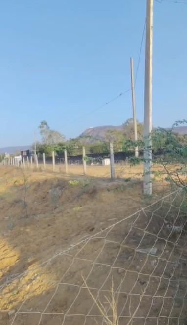 property_images/agricultural_in_pali_1780730939_6a23cc3bb1655.jpg